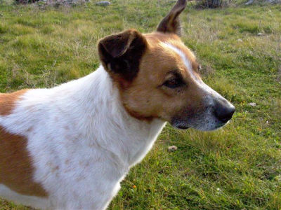 Billy