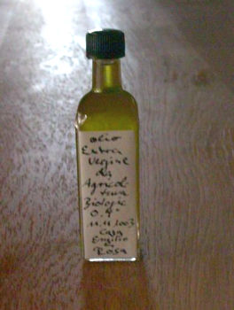Olivenernte 2004