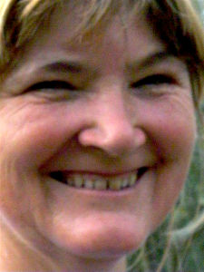 Olivenernte 2004