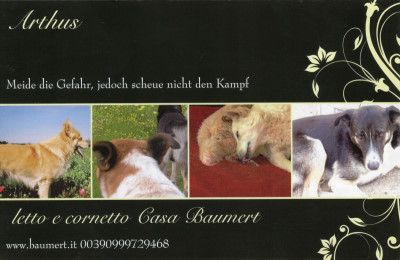 Postkarte Arthus