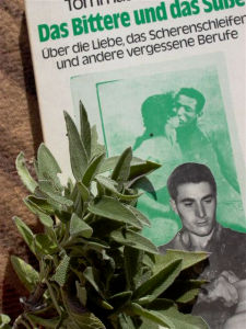 Apulischer Salbei