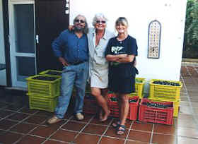 Olivenernte 2002