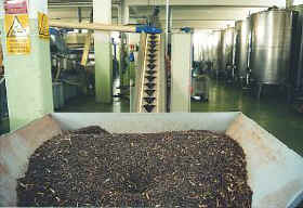 Olivenernte 2002