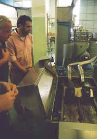 Olivenernte 2002