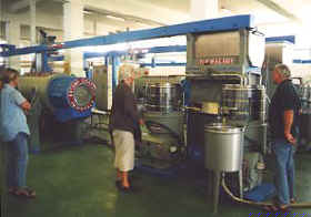 Olivenernte 2002