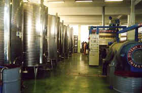 Olivenernte 2002