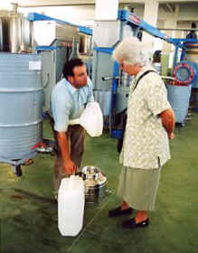 Olivenernte 2002
